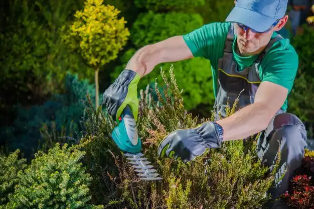 landscaping services Masonville